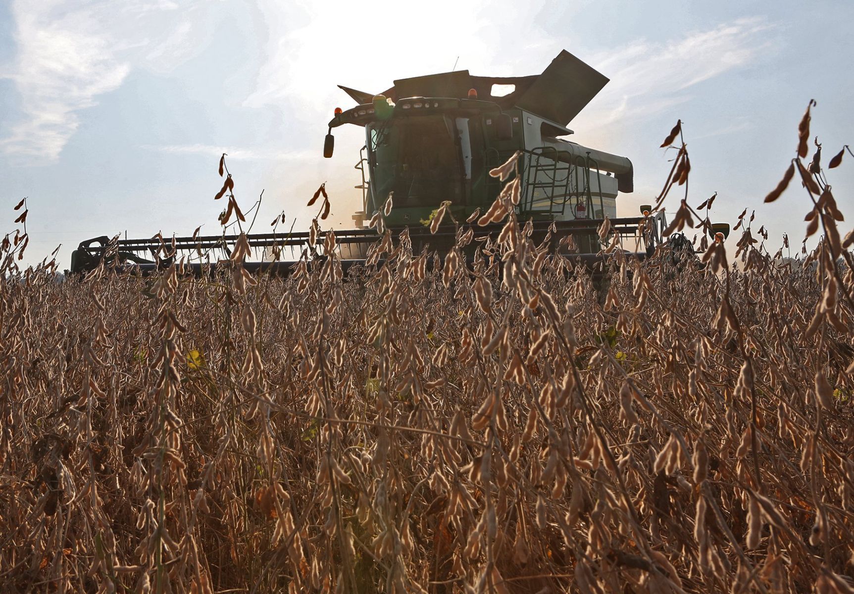 Farmers on Both Sides of Dicamba Herbicide Issue